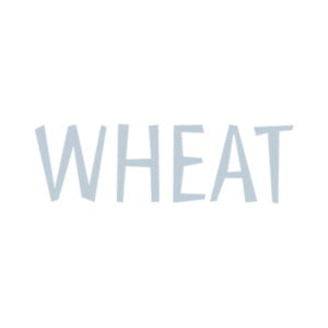 Wheat