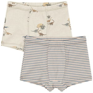 Konges Sløjd Boxershorts - 2-pak - Gots - Kubi/Stripe Bluie