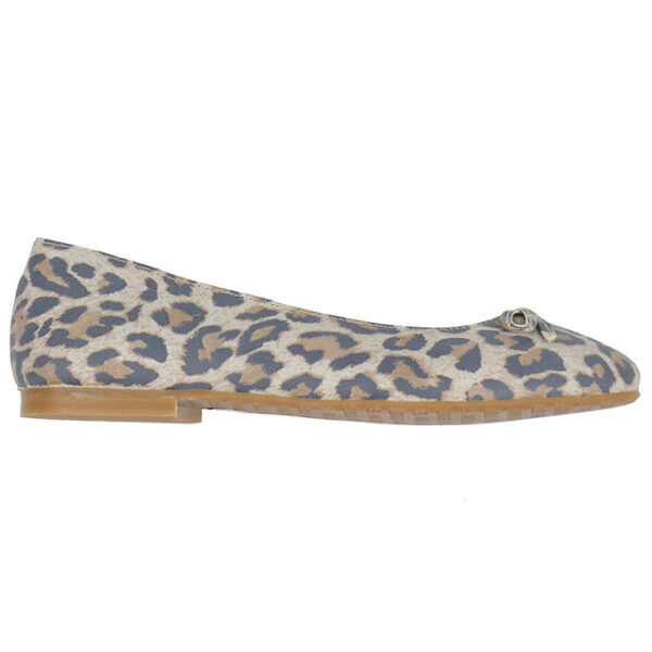 Angulus Ballerina - Leopard