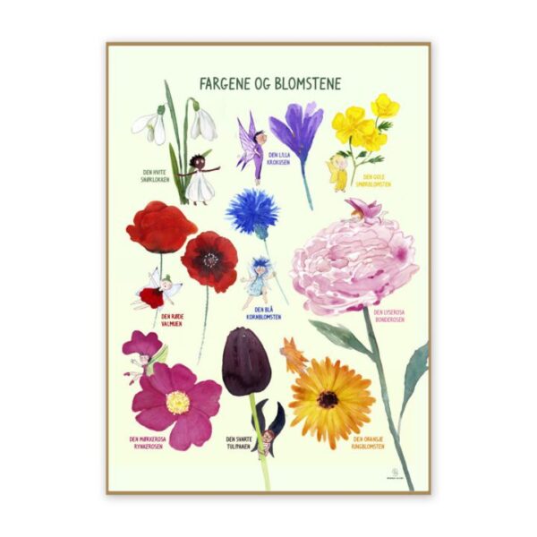 Ciha | Plakat 50 x 70 cm - Farverne og blomsterne Norsk