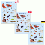 Ciha | Plakat 50 x 70 cm - Smådyr omkring dig