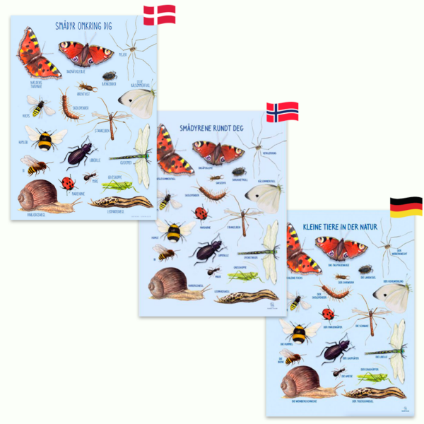 Ciha | Plakat 50 x 70 cm - Smådyr omkring dig