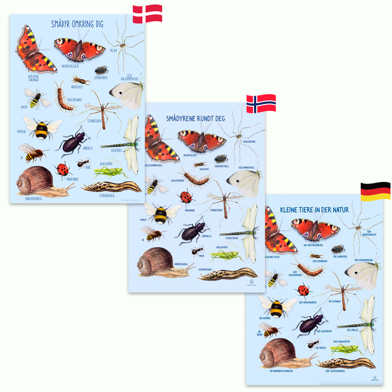 Ciha | Plakat 50 x 70 cm - Smådyr omkring dig