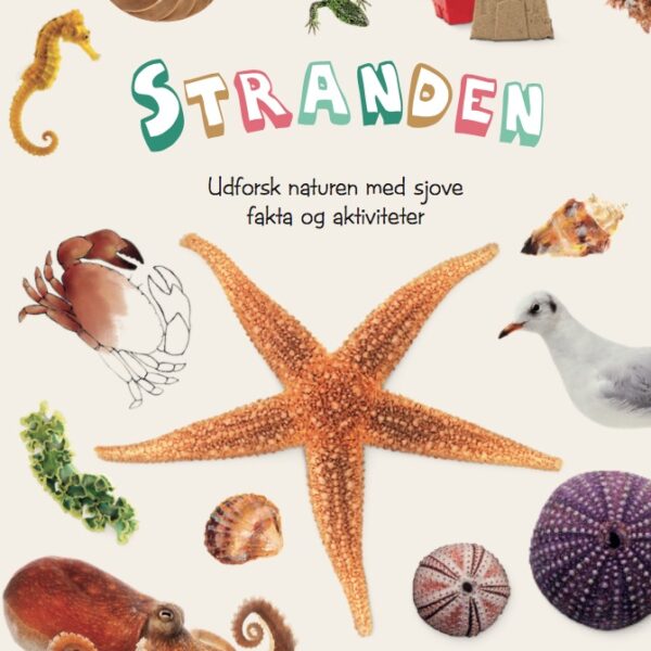 Forlaget Globe | Ud i naturen - Stranden