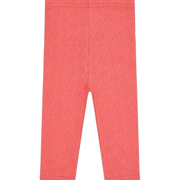Hust and Claire Leggings - Lisa Pointelle Flower - Wild Coral