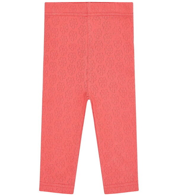 Hust and Claire Leggings - Lisa Pointelle Flower - Wild Coral