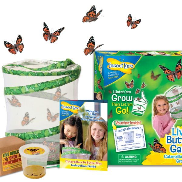 InsectLore | Sommerfuglehave m. 5 fritleverede larver