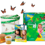 InsectLore | Sommerfuglehave m. 5 larver