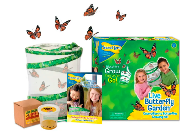 InsectLore | Sommerfuglehave m. 5 larver