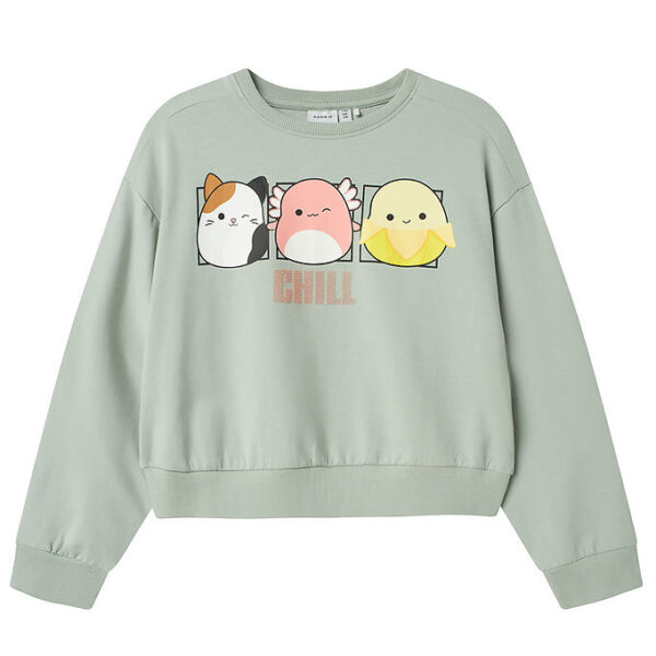 Name It Sweatshirt - NkfMomira - Squishmallows - Aqua Gray