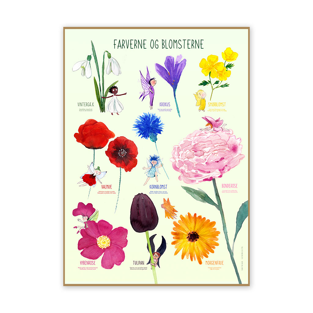 Plakat 50 x 70 cm - Farverne og blomsterne Dansk