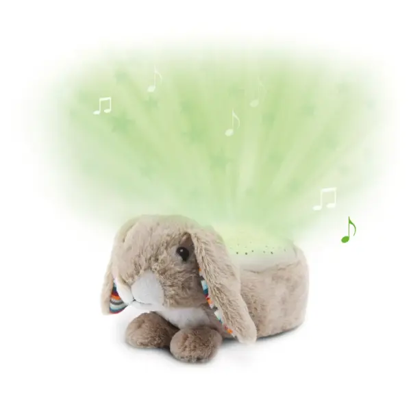 RUBY Musical Projector