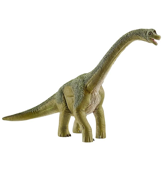 Schleich Dinosaurs - Brachiosaurus Schleich Dinosaurs - Brachiosaurus
