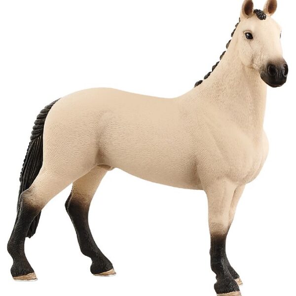 Schleich Dyr - 12 x 12,3 cm - Hannoveraner Vallak 13928