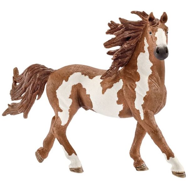 Schleich Dyr - 16 x 10,5 cm - Pinto Hingst 13794
