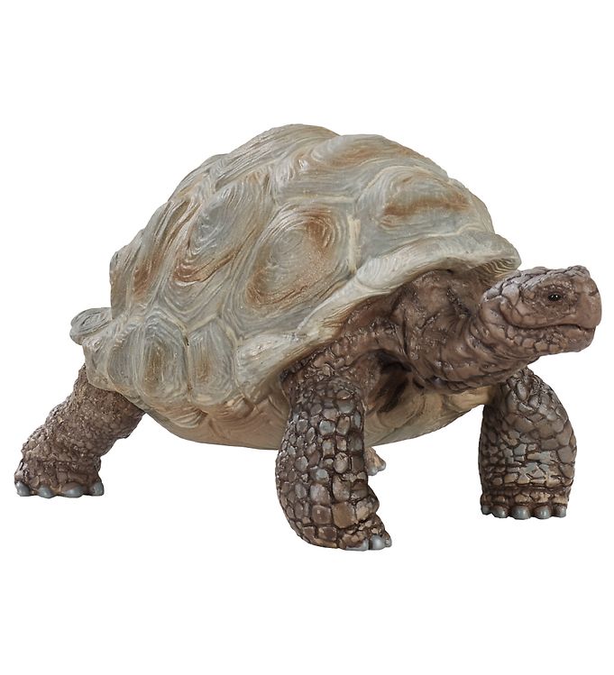 Schleich Dyr Schleich Dyr