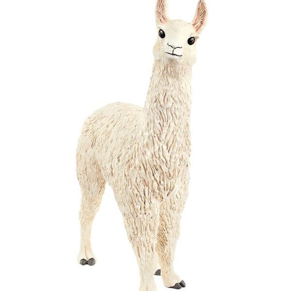 Schleich Dyr - 9,4 x 7 cm - Lama 13920