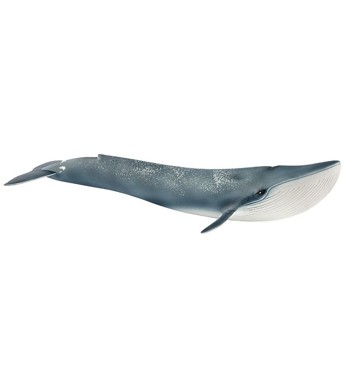 Schleich Dyr - Blåhval