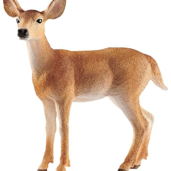 Schleich Dyr - Virginiahjort Hind