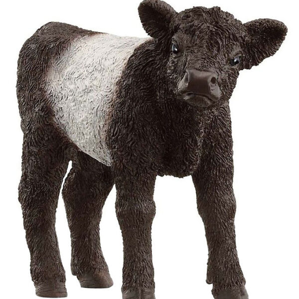 Schleich Farm World - Gallowaykalv