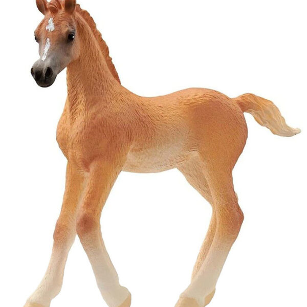 Schleich Horse Club - Araberføl