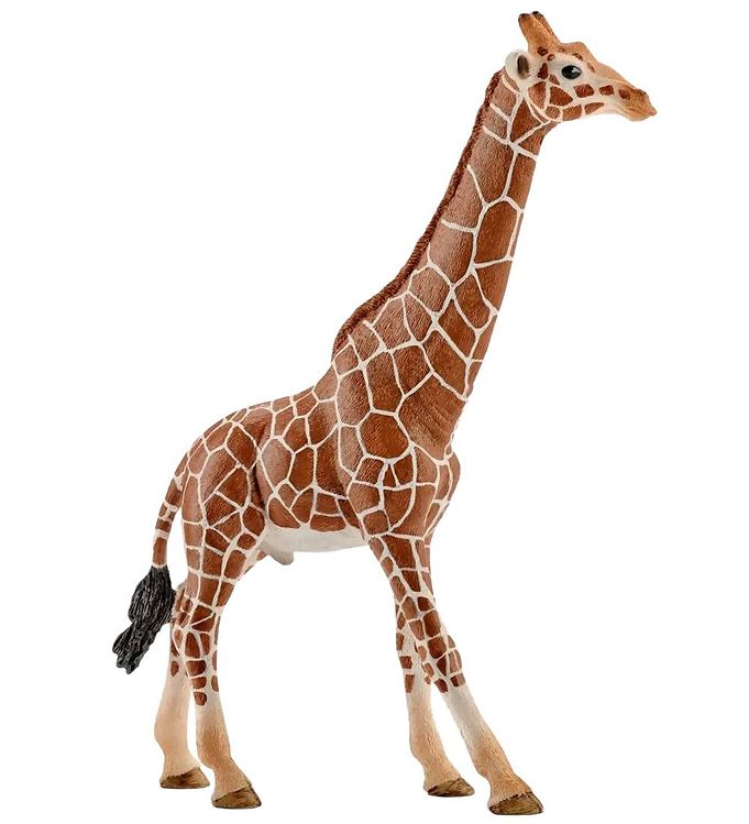Schleich Wild Life