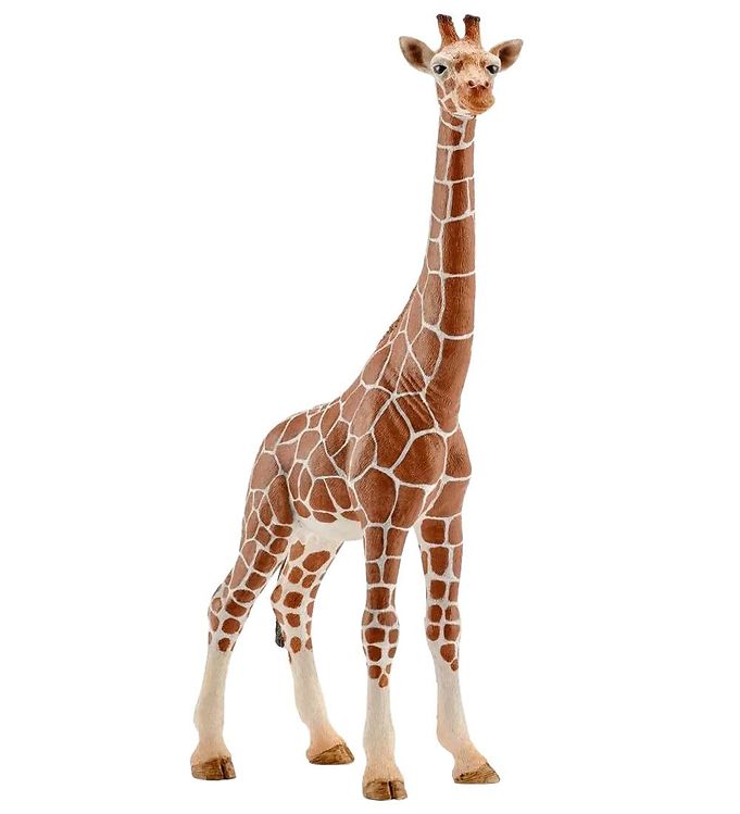 Schleich Wild Life