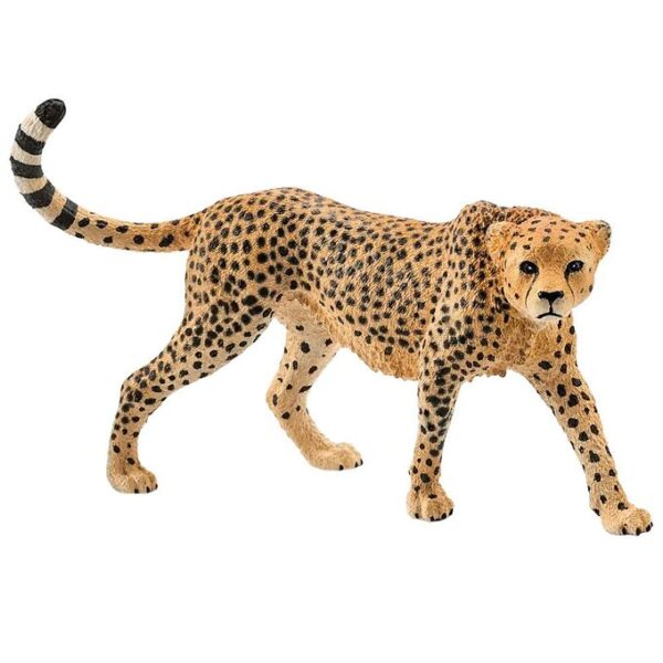 Schleich Wild Life