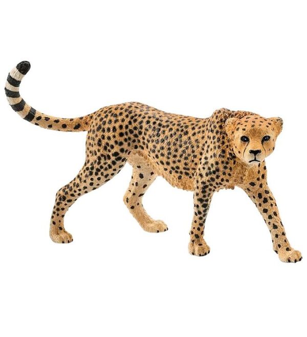 Schleich Wild Life