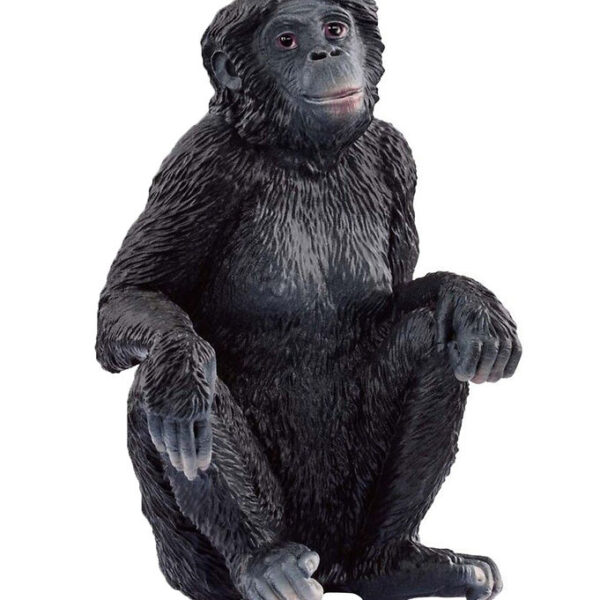 Schleich Wild Life - Bonobo-hun