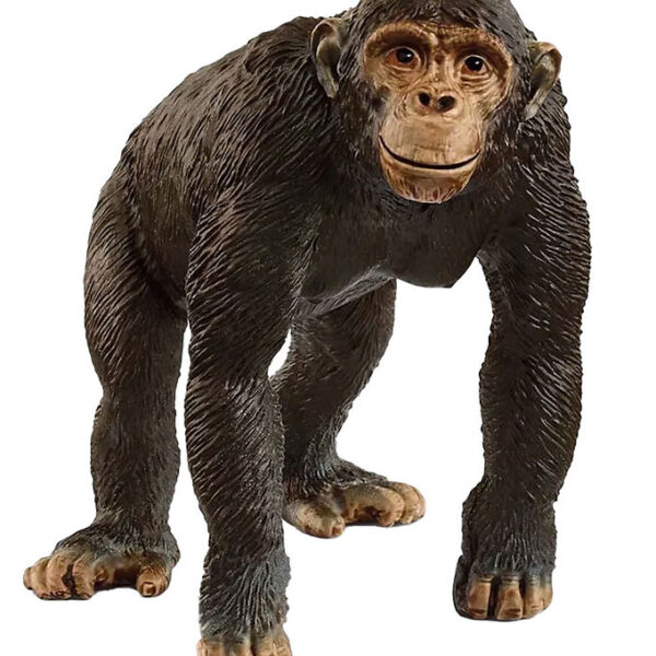 Schleich Wild Life - Chimpanse 8,5 cm - 14883