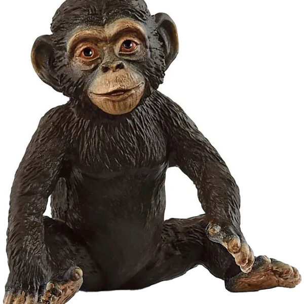 Schleich Wild Life - Chimpanseunge - 4,7 cm - 14884