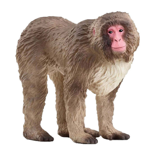 Schleich Wild Life - Japansk Makak-abe