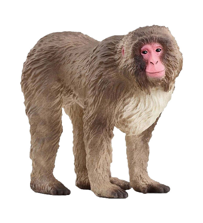 Schleich Wild Life - Japansk Makak-abe