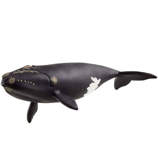Schleich Wild Life - Nordkaper Hval - 19,5 cm - 14878
