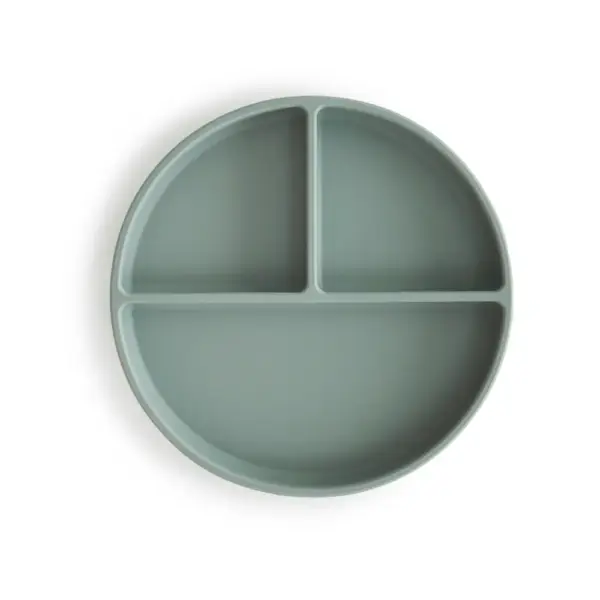 Silicone Plate (Cambridge Blue) Silicone Plate (Cambridge Blue)