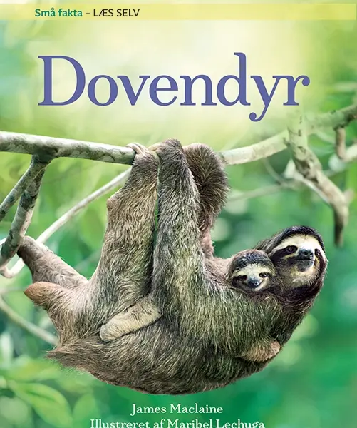 Små fakta: Dovendyr