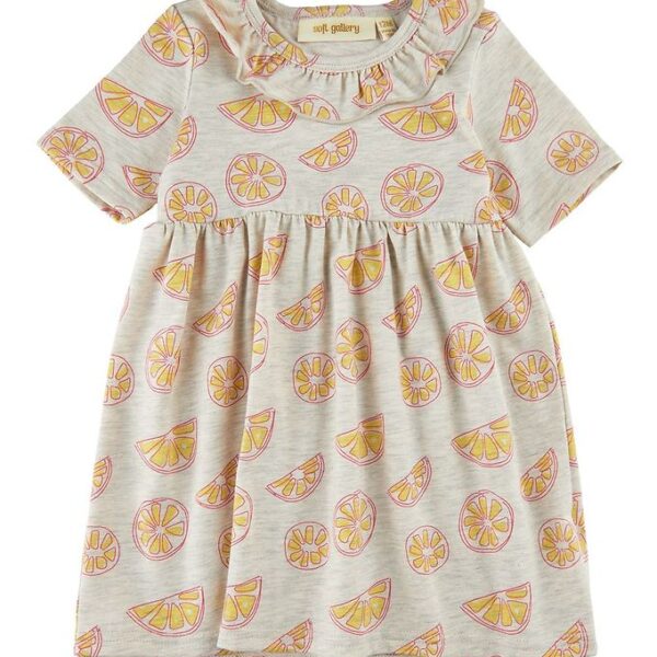 Soft Gallery Kjole - SgJenni - Oranges - Light Grey Melange AOP