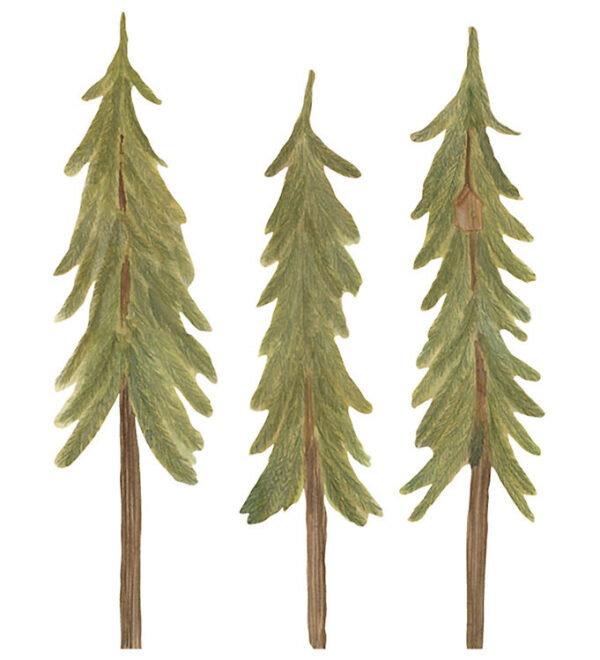 That's Mine Wallstickers - Fyrretræer - 3 stk. - Small