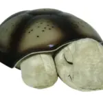 Twilight Turtle, Mocha