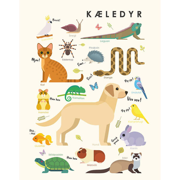 Citatplakat Plakat - Børneplakat - Kæledyr - A3