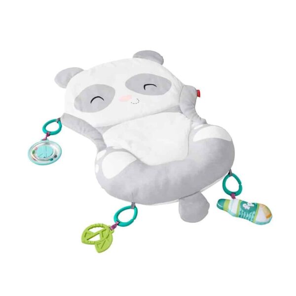 Fisher Price All - in - One Panda Playmat