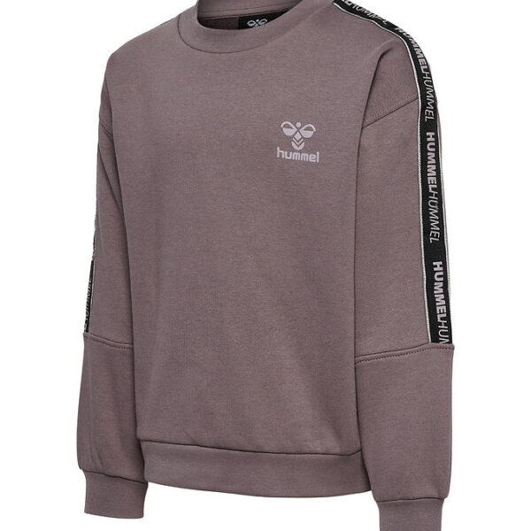 Hummel Sweatshirt - hmlShine - Sparrow