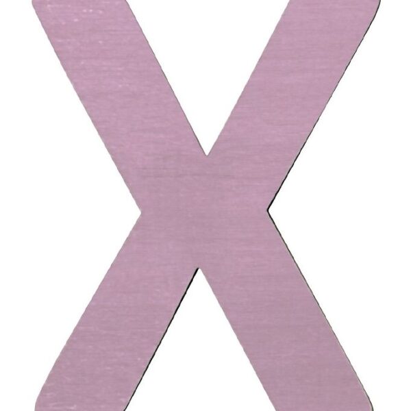 Sebra Træbogstaver - X - Pastel Pige Sebra Træbogstaver - X - Pastel Pige