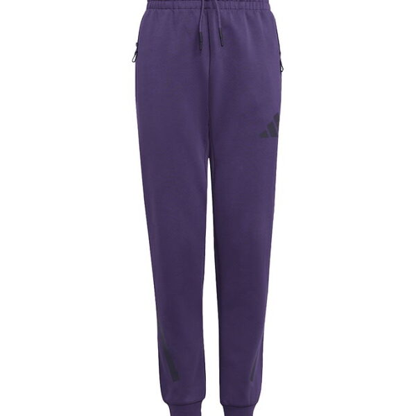 adidas Performance Bukser - J Z.N.E PT - Aurplu/Aurbla