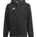 adidas Performance Jakke - ENT22 - Sort