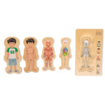 mamamemo | Anatomi puslespil - Dreng