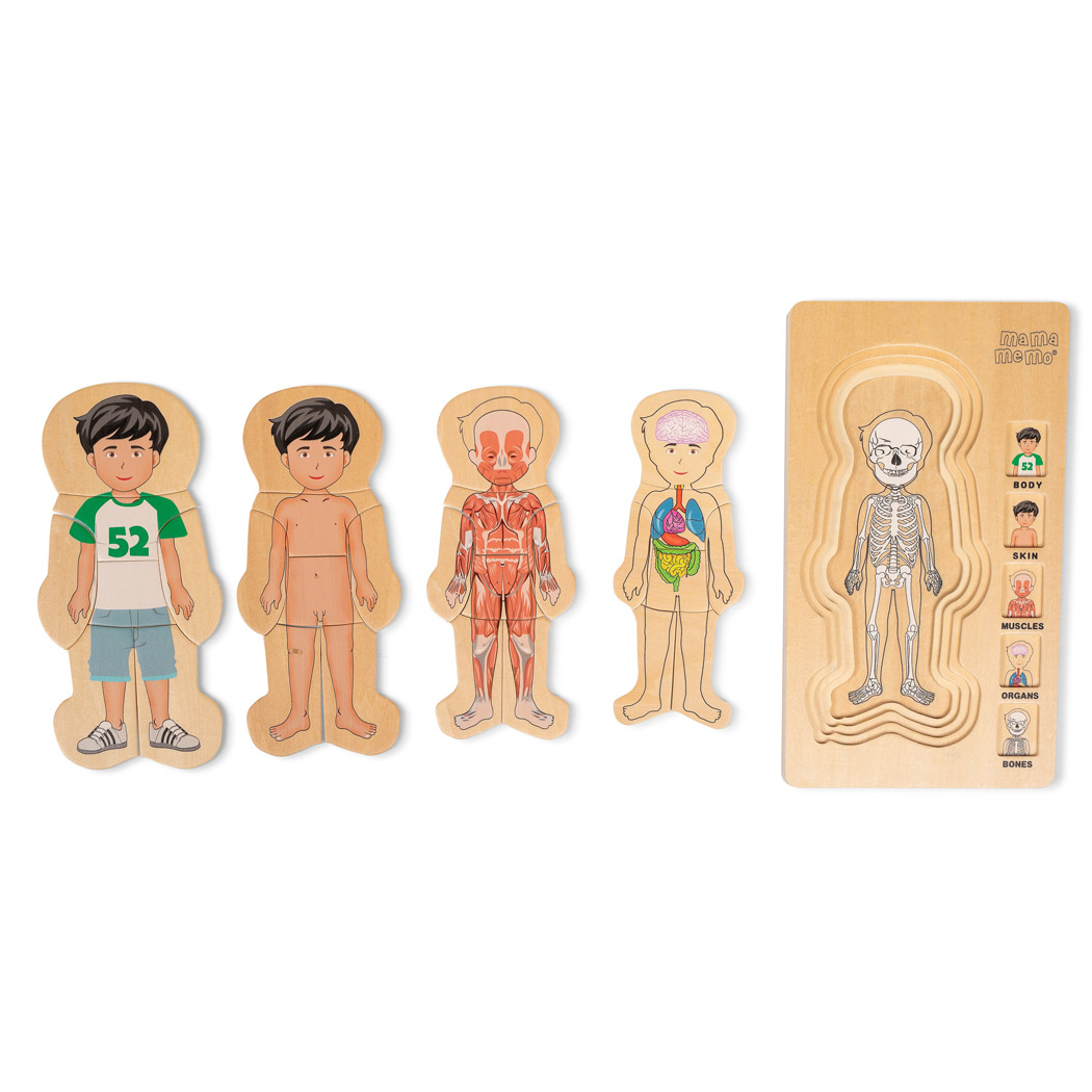mamamemo | Anatomi puslespil - Dreng