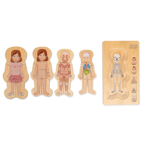 mamamemo | Anatomi puslespil - Pige