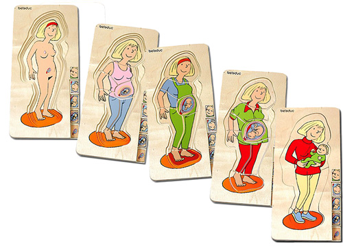 Beleduc | Anatomi - Mor